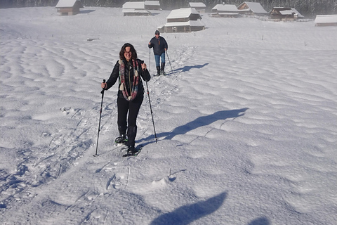 From Ljubljana/Bled: Beginner Snowshoe in Julian Alps From Bled - pickup at your accommodation