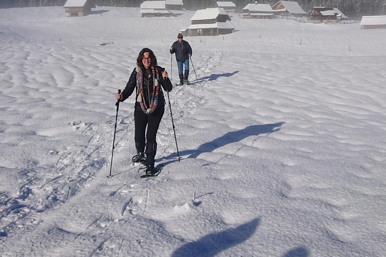 From Ljubljana/Bled: Beginner Snowshoe in Julian Alps From Bled - pickup at your accommodation