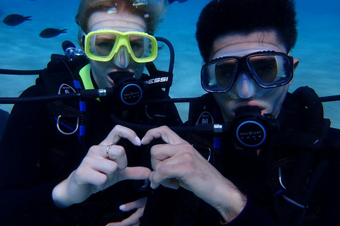 Cyprus: Discover Scuba Diving & MUSAN Underwater Museum Tour