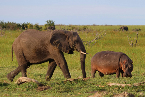 Zanzibar: 3-Day Mikumi National Park Safari with Free Pickup