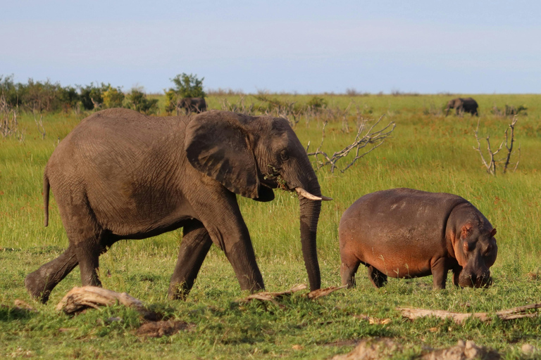 Zanzibar: 3-Day Mikumi National Park Safari with Free Pickup