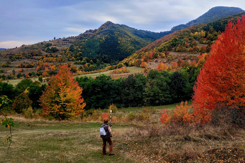 From Cluj: Turda Salt Mine, Gorge, and Remetea Full-Day Trip