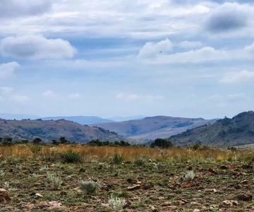 Johannesburg: Human Origins day tour and Malapa Museum