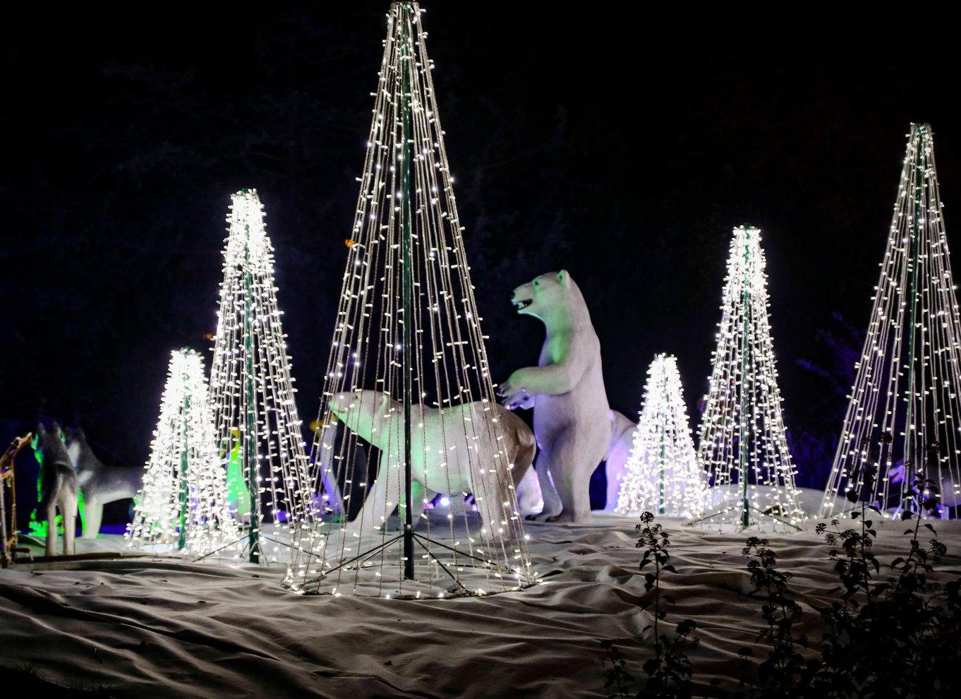 Paris: Jardin d'Acclimatation 1-dags Unlimited Pass