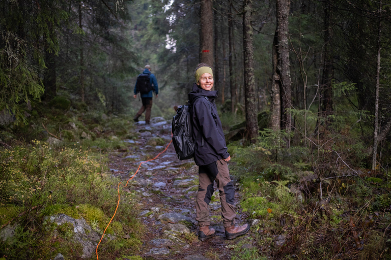 Oslo: Old-Growth Forest Hike with a Biologist