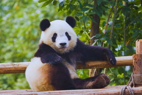 Beijing: Summer Palace Guided Tours & Top Park Combos Private Summer Palace & Old Summer Palace Park Walk Tour