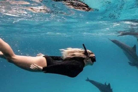 Wyspa Mnemba: półdniowa wycieczka łodzią z pływaniem z delfinami i nurkowaniem z rurkąPrywatna wyspa Mnemba – nurkowanie z rurką i pływanie z delfinami