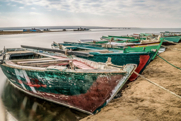 Le Caire : Fayoum, Wadi El Rayan et Wadi al Hitan en 4x4Visite privée sans billets et sans déjeuner