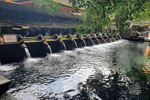 Ubud: Cascadas, Templo del Agua y Terrazas de Arroz Tour privadoTour privado con entrada Tikets