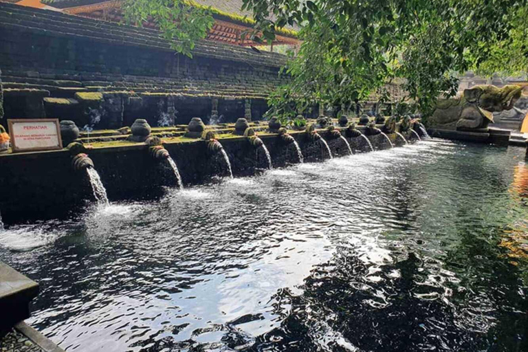 Ubud: Cascadas, Templo del Agua y Terrazas de Arroz Tour privadoTour privado con entrada Tikets