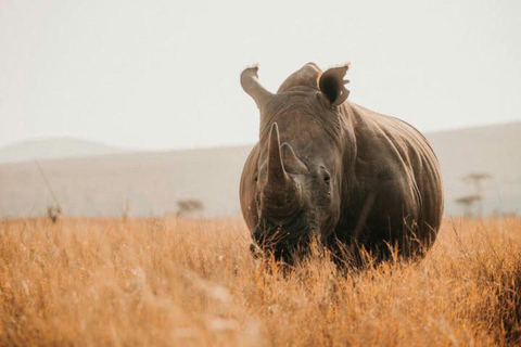 3-Day 2-Nights Maasai Mara Big 5 Safari All Inclusive