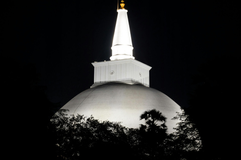 Sri Lanka: 9-Day Honeymoon Tour with Accommodation