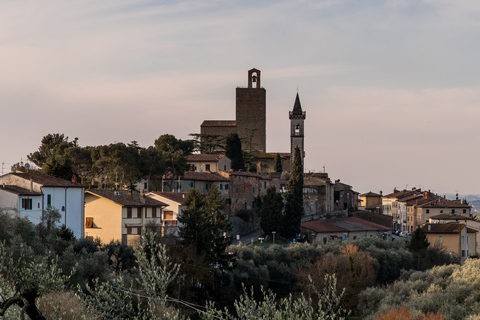 Vinci: Entrada Museo Leonardiano y Casa Natal de Da VinciVinci: Entrada al Museo Leonardo da Vinci y a la Casa Natal de Da Vinci