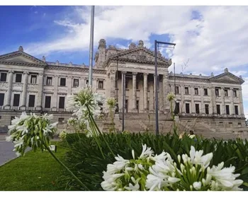 Private Tour in Montevideo mit einem Einheimischen - Urban Heart Tours