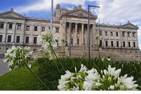 Tour privato a Montevideo con un abitante del posto - Urban Heart Tours