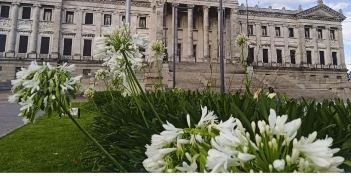Colagem de mídia