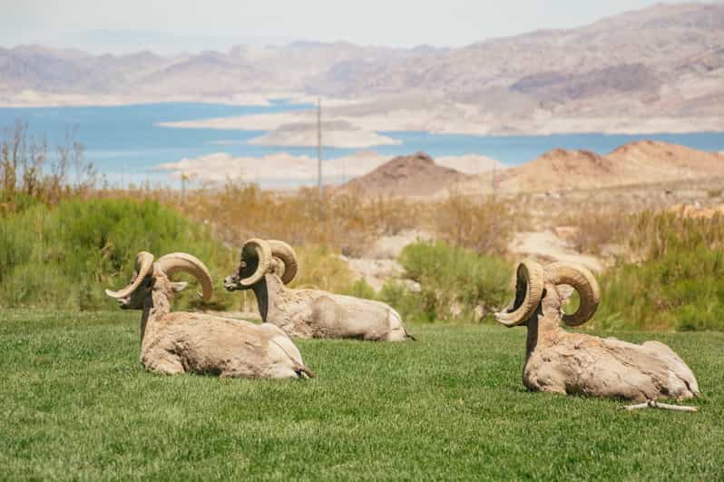 Las Vegas Emerald Cave ClearKayak Tour GetYourGuide