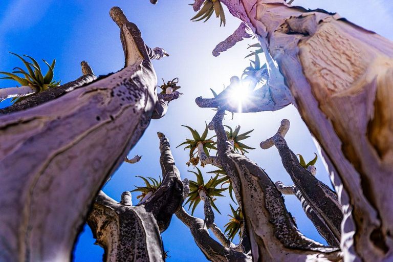 Walvisbay: Namib Naukluft Birding, Landscape & Photography