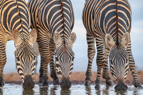 From Nairobi: Lake Nakuru National Park Safari Tour Landcruiser price