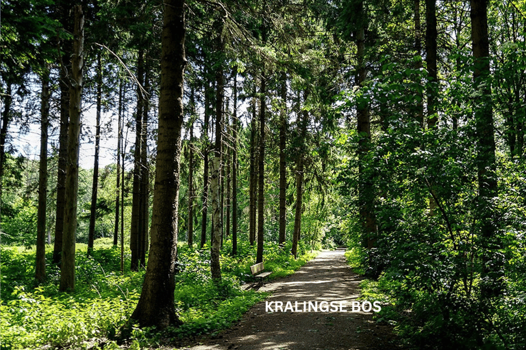 O interior de Roterdã sobre rodas - passeio de bicicleta pela city tour