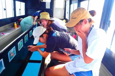 Ishigaki : excursion panoramique d'une demi-journée avec photos et transfert