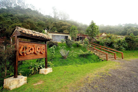 Bogotà: Esplora la foresta e fai birdwatching nel Parco Naturale Chicaque