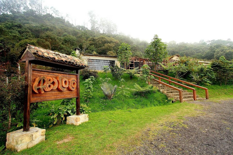 Bogota: Explora el Bosque y avista aves en Parque Natural Chicaque