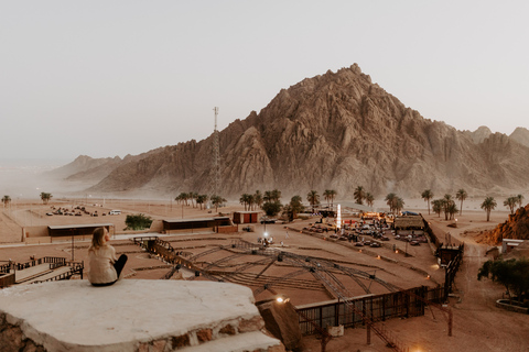 Scharm El-Scheich: Premium-Arabische Nacht mit AbendessenScharm El-Scheich: Premium-Arabische-Nacht-Entdeckung mit Abendessen