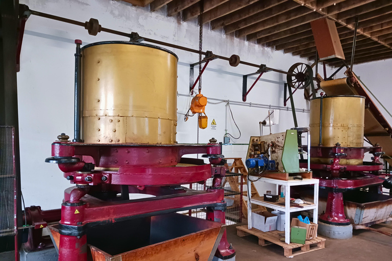 Traditions & Flavors of São Miguel Tour