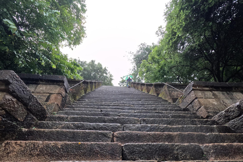 Sigiriya: Minneriya Safari, Yapahuwa Rock & Colombo Drop-off Sigiriya: Minneriya Safari, Yapahuwa Rock & Negombo Drop-off