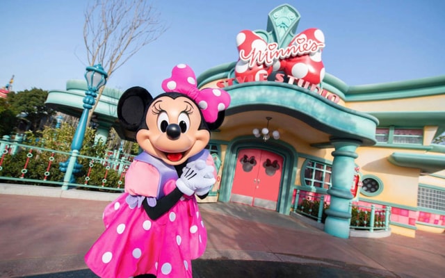 Tokyo DisneySea: 1-Day Ticket & Private Transfer