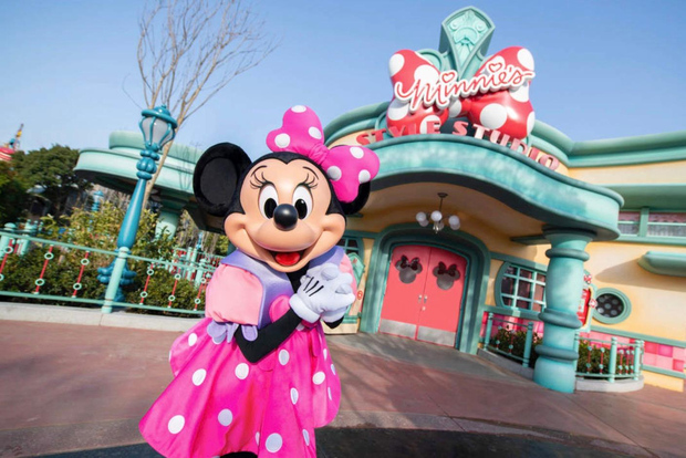 Tokyo DisneySea: 1-дневный билет и частный трансфер