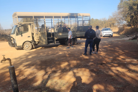 From Johannesburg: Lion & Safari Park Guided Game Drive