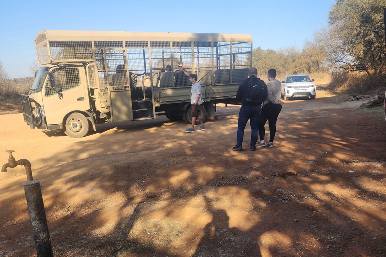 From Johannesburg: Lion & Safari Park Guided Game Drive