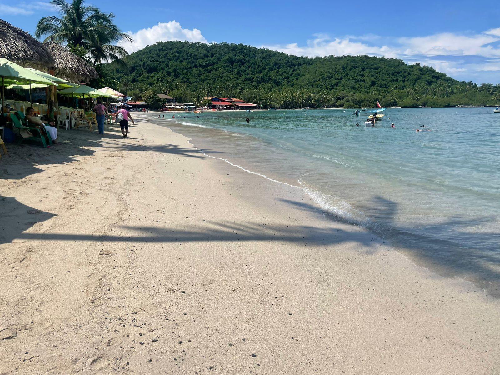 Ixtapa-Zihuatanejo: Tagestour zur Insel Ixtapa mit Mittagessen