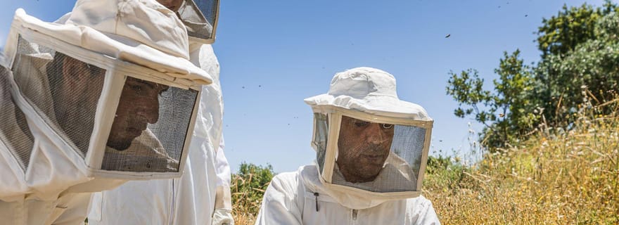 Destinations Baraka : Expérience d'apiculture à Umm Qais