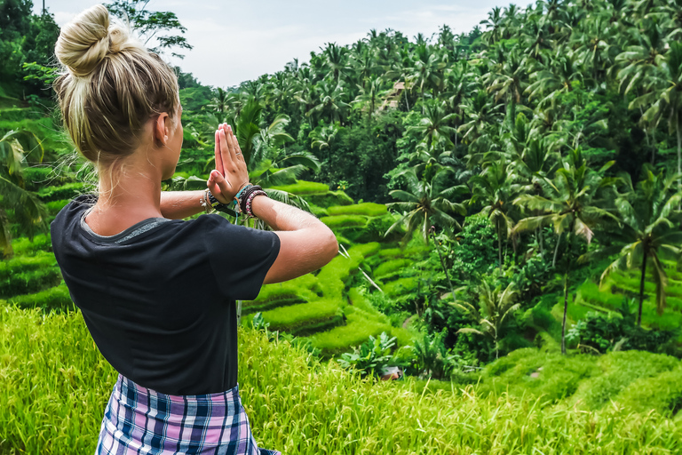 Ubud: Privat rundtur i vattenfall, risterrasser och apskogPrivat tur av Ubud med lunch