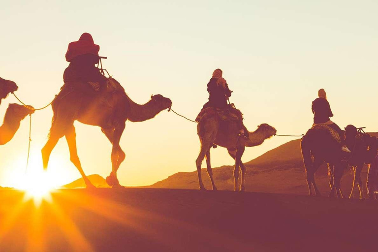 Dubaï : Montgolfière au lever du soleil sur les dunes d'ArabieDubaï : Vol en montgolfière au lever du soleil au-dessus des dunes d'Arabie