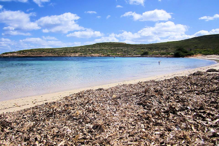 Sliema: Blue Lagoon Cruise inc Seacaves & Crystal Lagoon