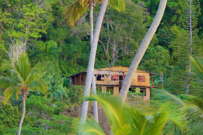 Private Rincón Beach & Bacardi Island from Punta Cana