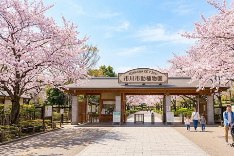 Tokyo: Ichikawa City Zoo Tour with Red Pandas & Punch-kun