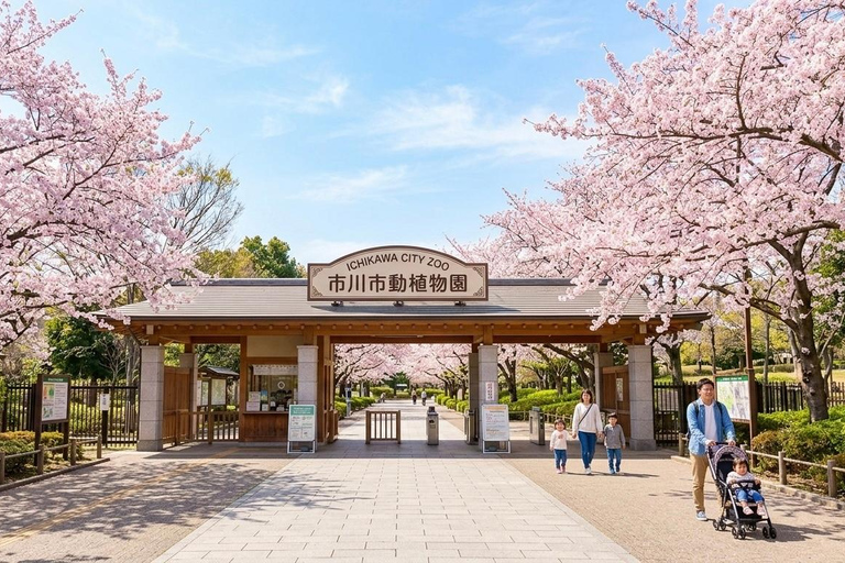 Tokyo: Ichikawa City Zoo Tour with Red Pandas & Punch-kun