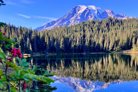 Mount Rainier National Park Small-Group DayTour from Seattle