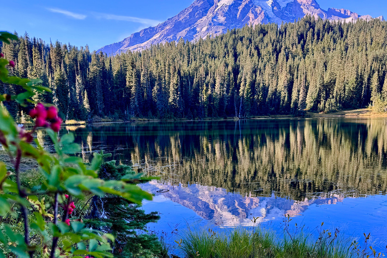 Mount Rainier National Park Small-Group DayTour from Seattle