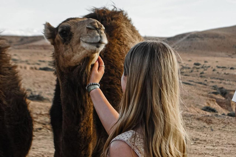 Marrakech: Agafay Desert Quad Bike, Camel Ride, Pool & Lunch Desert Agafay : Quad Biking, Camel Ride, Lunch & Pool