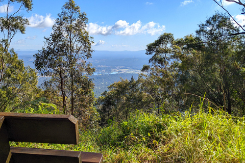 Från Brisbane: Tamborine Mountain och Paradise Point Tour