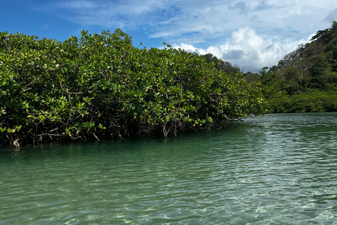 Gira 4 en 1 Portobelo, Cristo Negro, Venas Azules y Playa Blanca