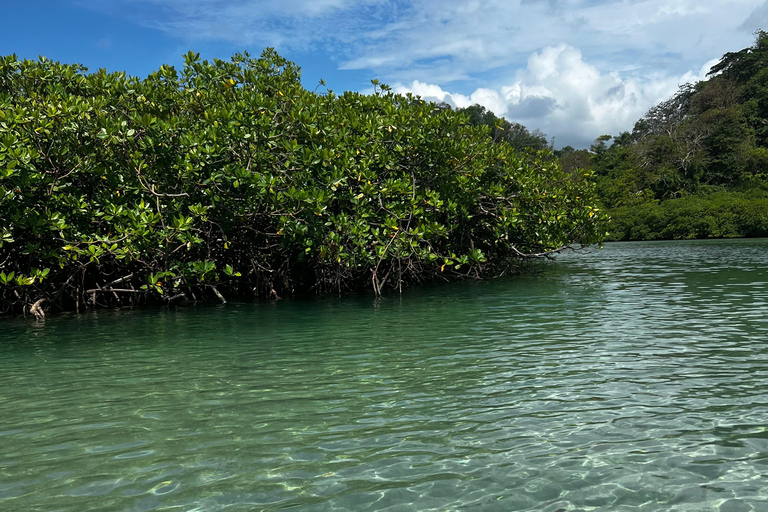Gira 4 en 1 Portobelo, Cristo Negro, Venas Azules y Playa Blanca