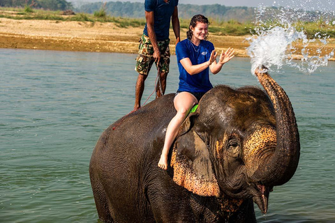 2 Nacht 3 Dagen Chitwan Nationaal Park/Vanuit Kathmandu/Pokhra2 Nacht 3 Dagen Chitwan Nationaal Park | Kathmandu of Pokhara