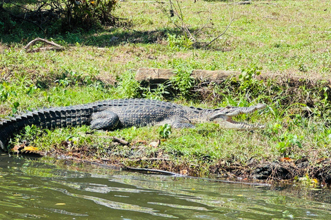 Bentota/Beruwala: Galle Fort, Koggala Lake & Kayaking Tour